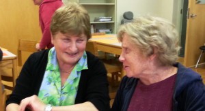 Volunteer Opportunities